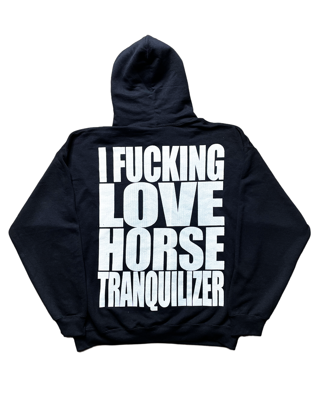 THIS GUY FUCKING LOVES HH666 HOODIE